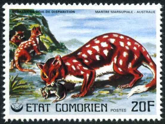 Stamp