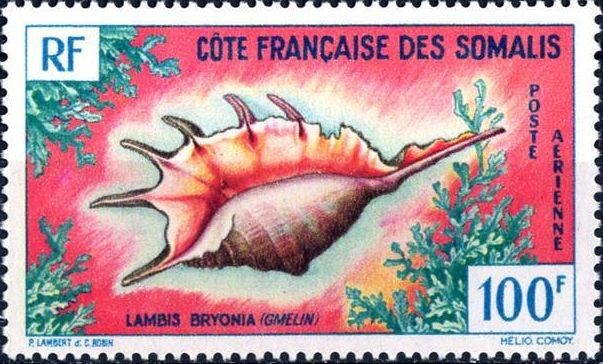 Stamp